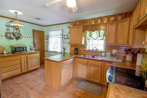 Tiny photo for 1494 Buffalo Mill Road, Evington, VA 24550 (MLS # 365884)