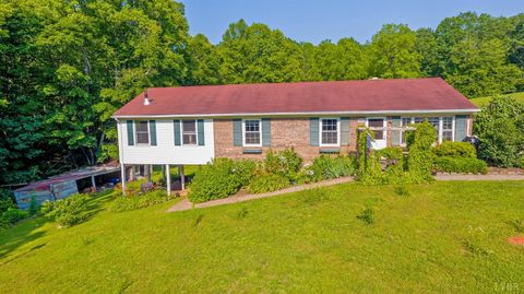 Photo of 1494 Buffalo Mill Road, Evington, VA 24550 (MLS # 365884)