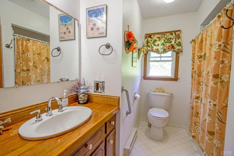 Tiny photo for 1494 Buffalo Mill Road, Evington, VA 24550 (MLS # 365884)