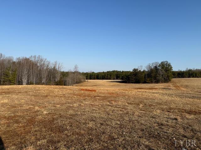 Lot 6 Piney Mountain Road, Appomattox, Virginia image 10