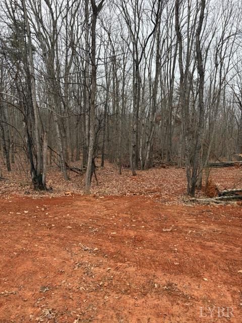 Tiny photo for 5461 Bear Creek Road, Rustburg, VA 24588 (MLS # 364736)