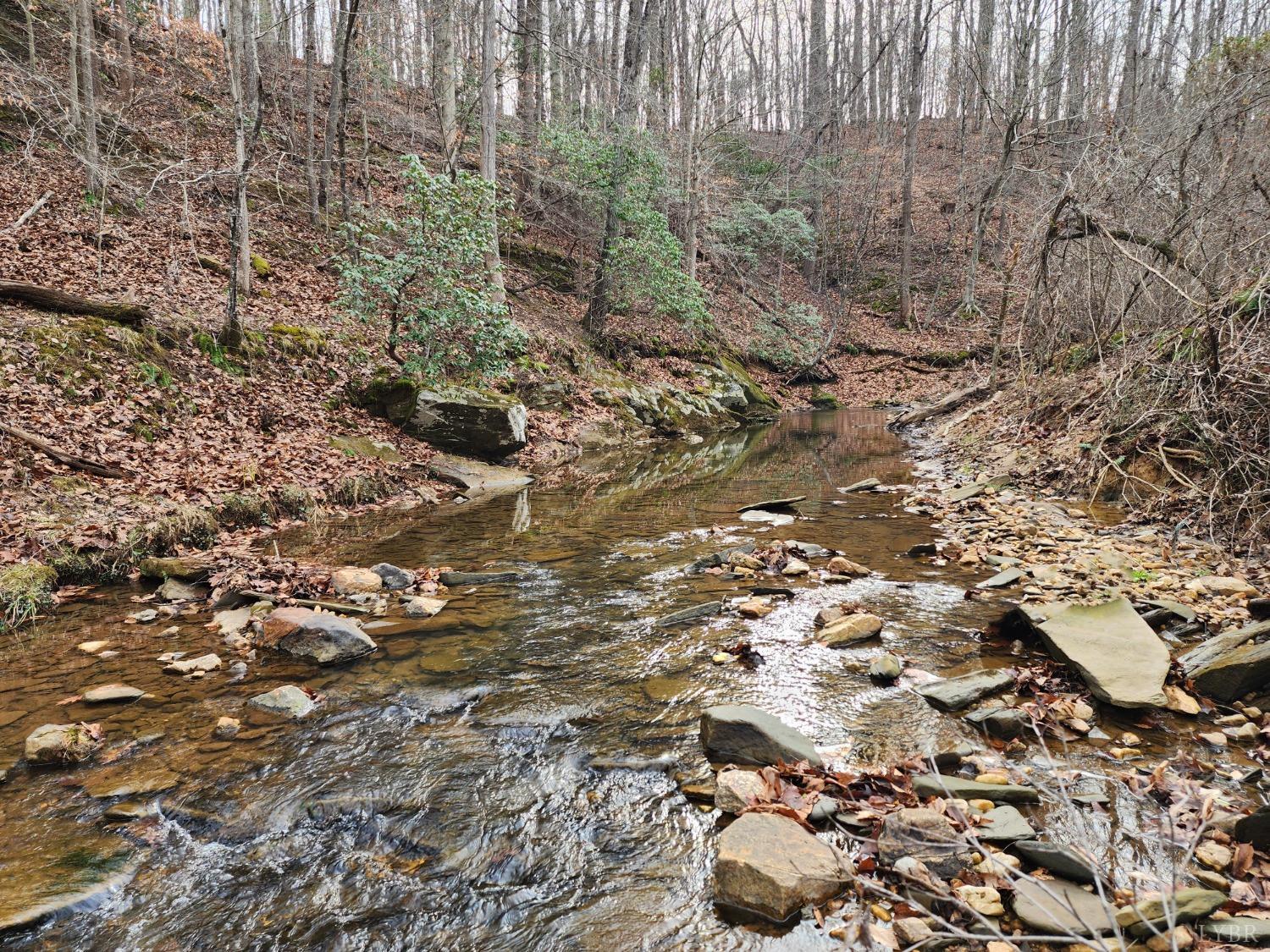Pinecrest Drive, Madison Heights, Virginia image 8