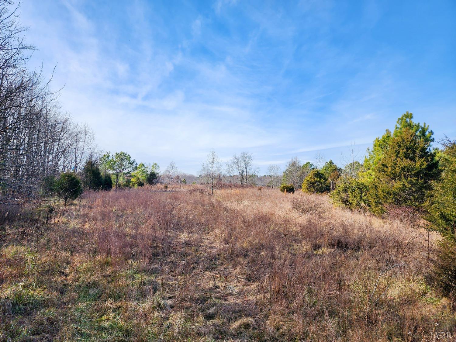 Pinecrest Drive, Madison Heights, Virginia image 6