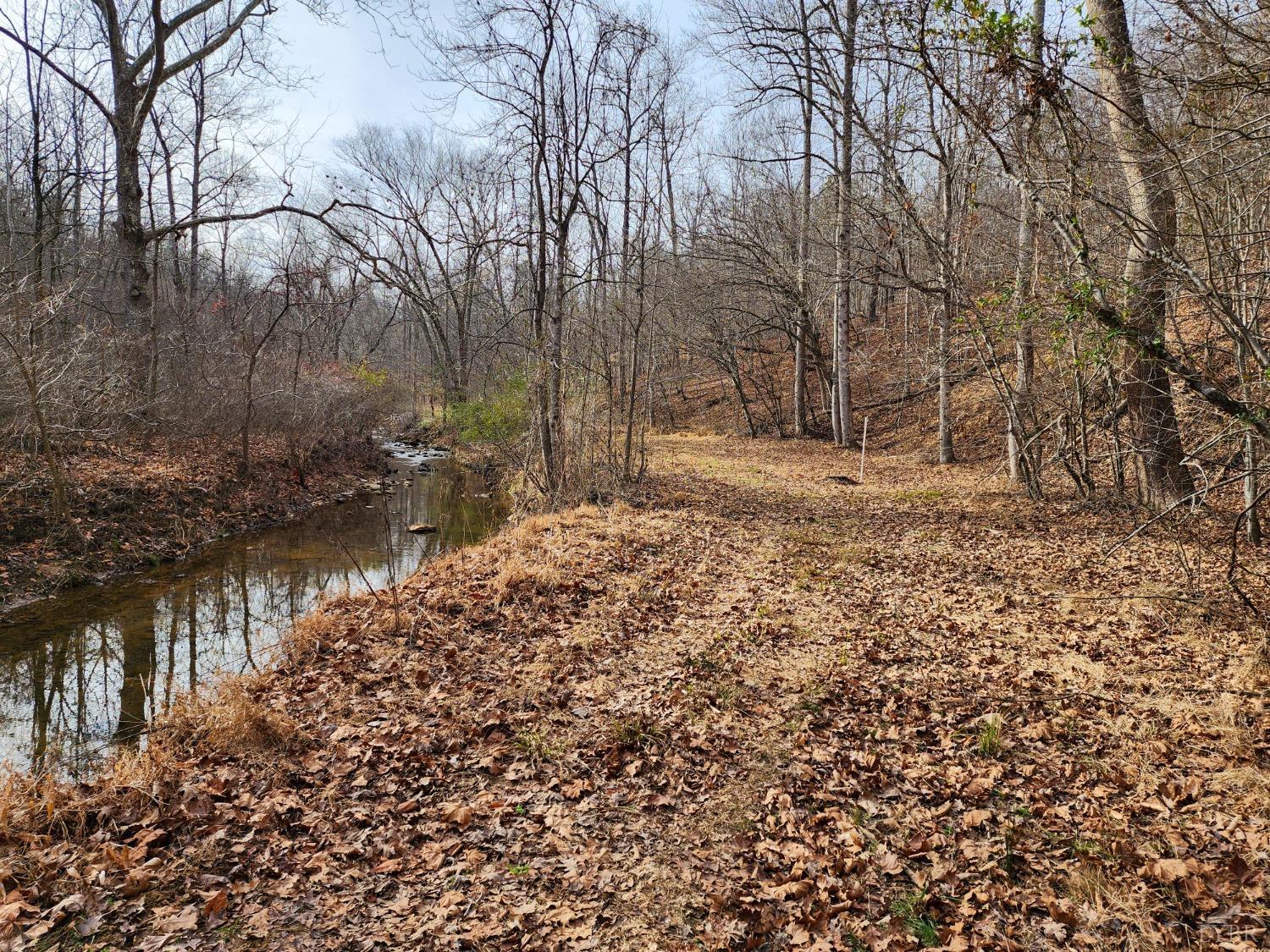 Pinecrest Drive, Madison Heights, Virginia image 12