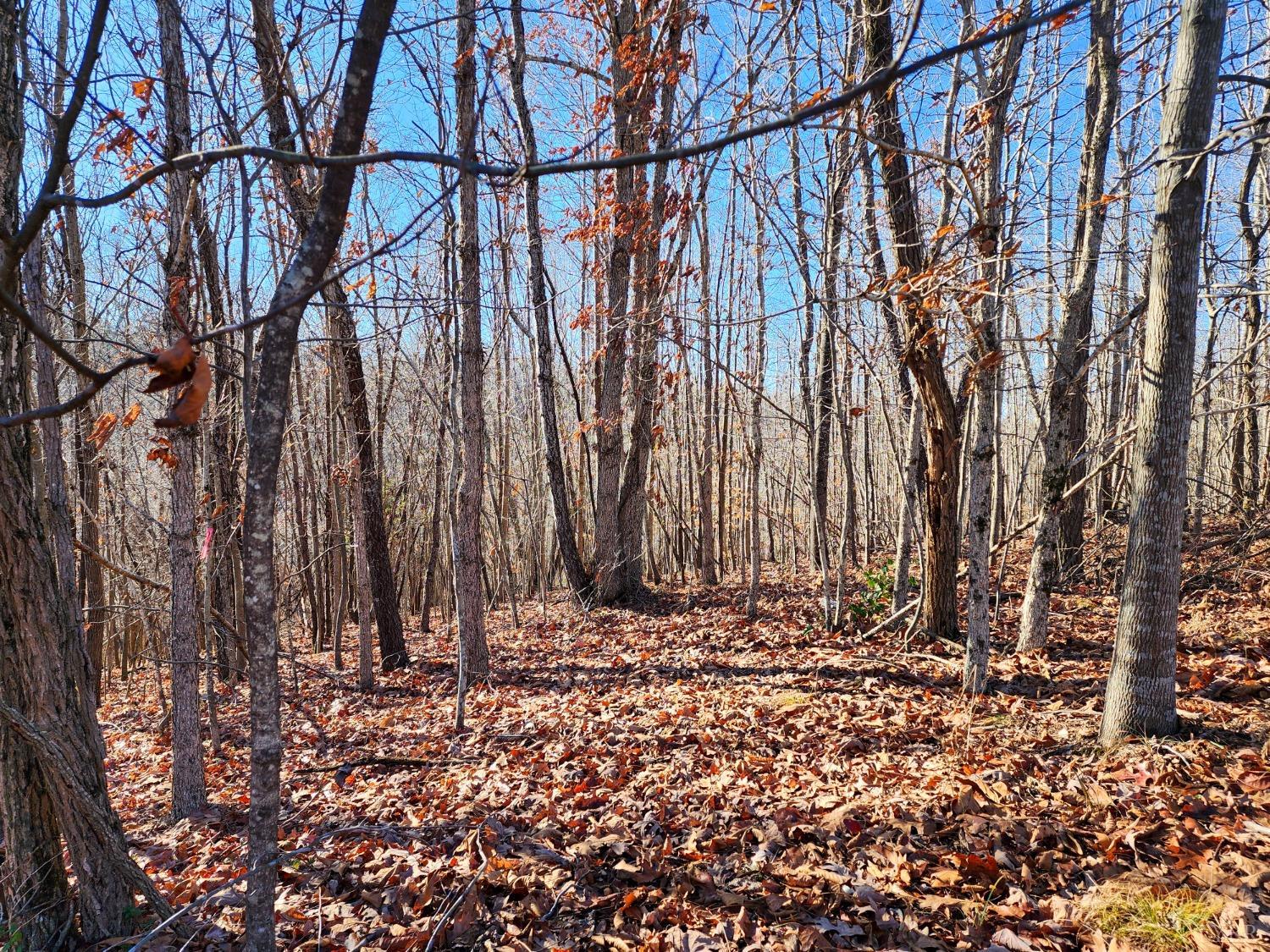 Pinecrest Drive, Madison Heights, Virginia image 5