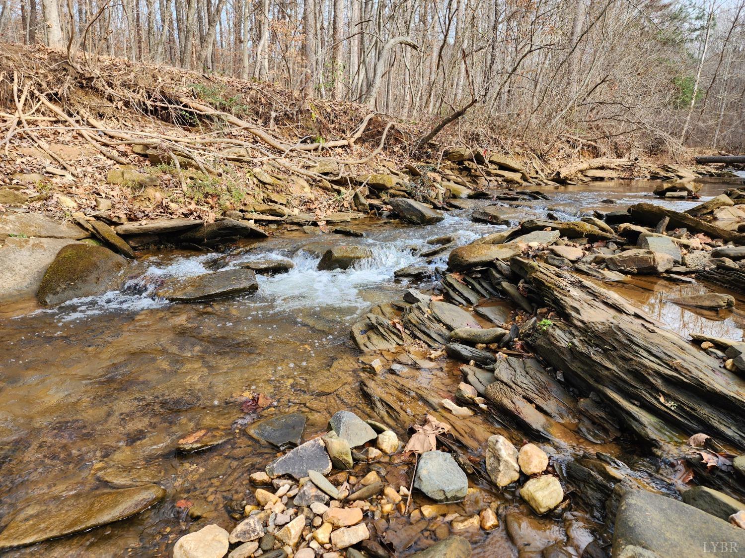 Pinecrest Drive, Madison Heights, Virginia image 9