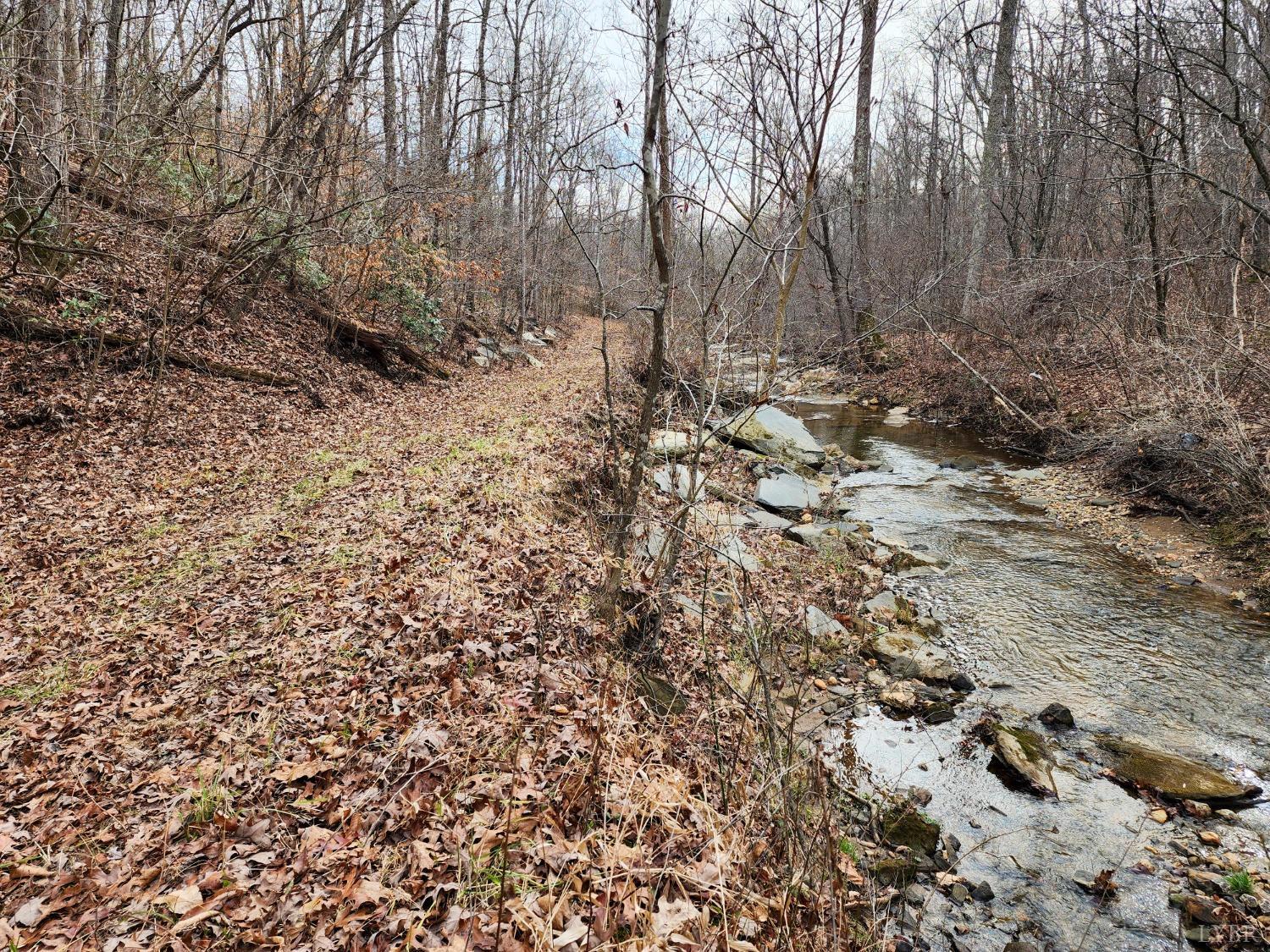 Pinecrest Drive, Madison Heights, Virginia image 7