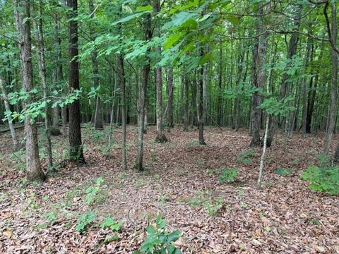 Vacant Land For Sale - 3 Red Bird Drive Dr<br/> Gladstone, VA 24553