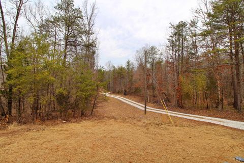 Tiny photo for 1740 Watt Abbitt Road, Appomattox, VA 24522 (MLS # 364812)