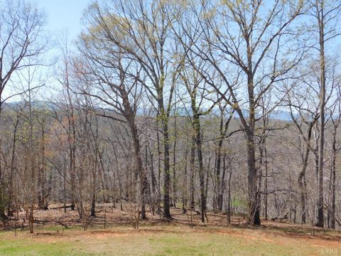 Tiny photo for 320 Ruth Drive, Madison Heights, VA 24572 (MLS # 365415)