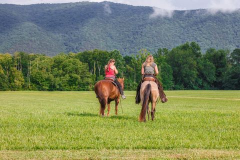 Tiny photo for 0 41 News Road, Eagle Rock, VA 24085 (MLS # 364215)