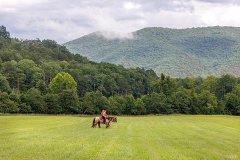 Photo of 0 41 News Road, Eagle Rock, VA 24085 (MLS # 364215)