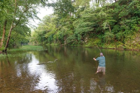 Tiny photo for 0 41 News Road, Eagle Rock, VA 24085 (MLS # 364215)