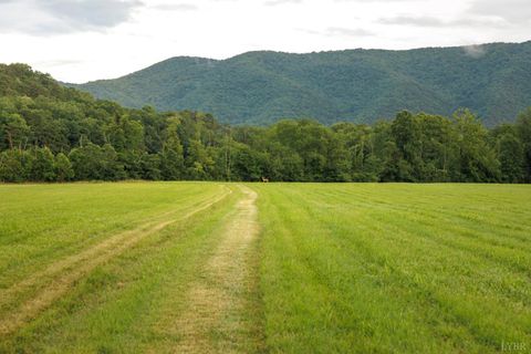 Tiny photo for 0 41 News Road, Eagle Rock, VA 24085 (MLS # 364215)