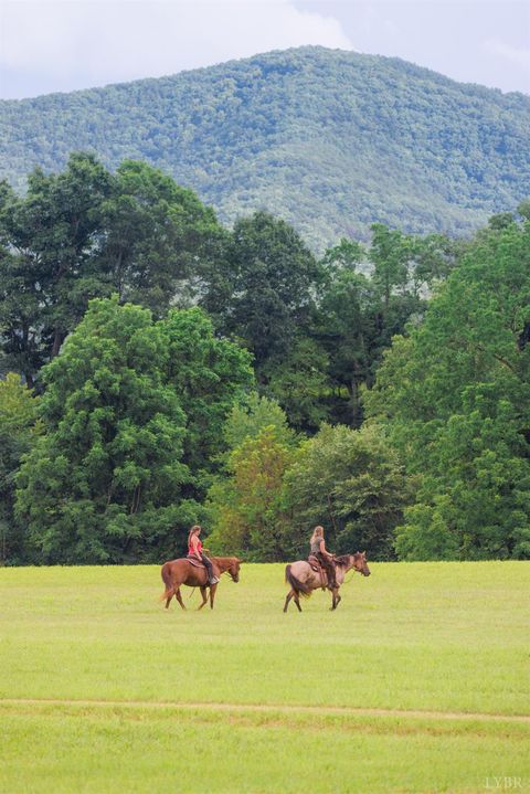 Tiny photo for 0 41 News Road, Eagle Rock, VA 24085 (MLS # 364215)