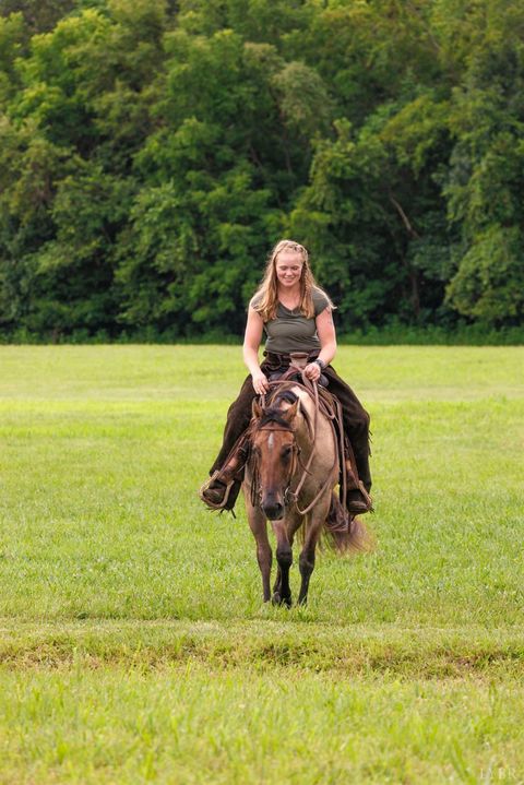 Tiny photo for 0 41 News Road, Eagle Rock, VA 24085 (MLS # 364215)