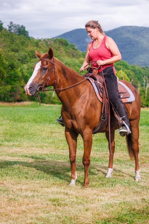 Tiny photo for 0 41 News Road, Eagle Rock, VA 24085 (MLS # 364215)