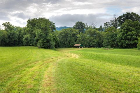 Tiny photo for 0 41 News Road, Eagle Rock, VA 24085 (MLS # 364215)