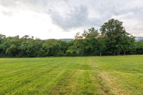 Tiny photo for 0 41 News Road, Eagle Rock, VA 24085 (MLS # 364215)
