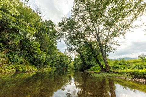 Tiny photo for 0 41 News Road, Eagle Rock, VA 24085 (MLS # 364215)