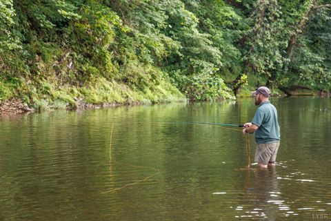 Tiny photo for 0 41 News Road, Eagle Rock, VA 24085 (MLS # 364215)