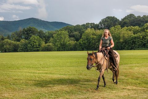 Tiny photo for 0 41 News Road, Eagle Rock, VA 24085 (MLS # 364215)