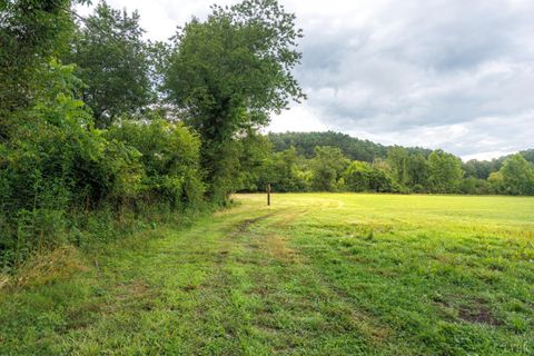 Tiny photo for 0 41 News Road, Eagle Rock, VA 24085 (MLS # 364215)