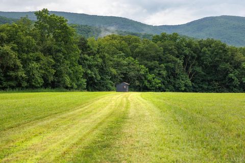 Tiny photo for 0 41 News Road, Eagle Rock, VA 24085 (MLS # 364215)