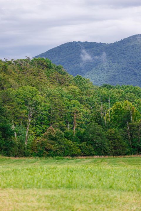 Tiny photo for 0 41 News Road, Eagle Rock, VA 24085 (MLS # 364215)