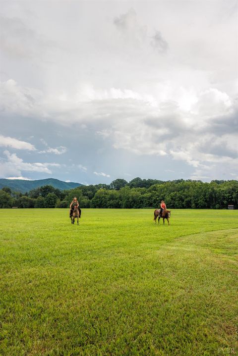 Tiny photo for 0 41 News Road, Eagle Rock, VA 24085 (MLS # 364215)