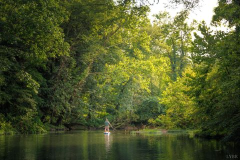 Tiny photo for 0 41 News Road, Eagle Rock, VA 24085 (MLS # 364215)