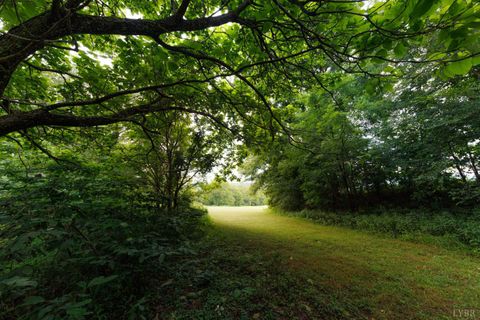 Tiny photo for 0 41 News Road, Eagle Rock, VA 24085 (MLS # 364215)