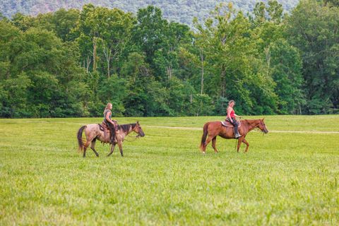 Tiny photo for 0 41 News Road, Eagle Rock, VA 24085 (MLS # 364215)