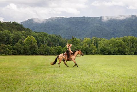 Tiny photo for 0 41 News Road, Eagle Rock, VA 24085 (MLS # 364215)