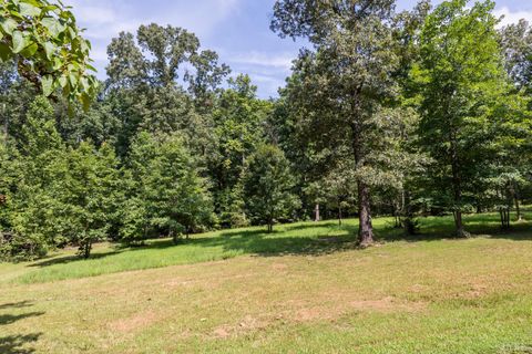 Tiny photo for 11766 Five Forks Road, Farmville, VA 23901 (MLS # 362872)