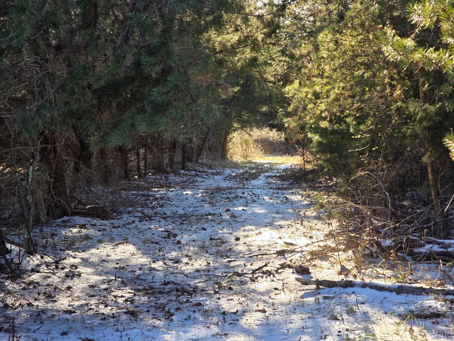 Joppa Mill Road, Bedford, Virginia image 1