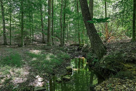 Tiny photo for 809 Plantation Road, Amherst, VA 24521 (MLS # 366759)