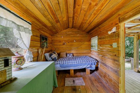 Tiny photo for 809 Plantation Road, Amherst, VA 24521 (MLS # 366759)