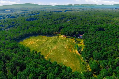 Tiny photo for 809 Plantation Road, Amherst, VA 24521 (MLS # 366759)