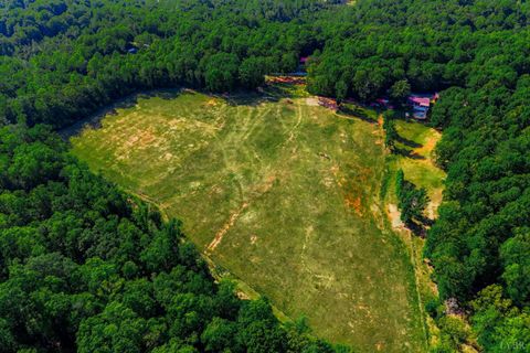 Tiny photo for 809 Plantation Road, Amherst, VA 24521 (MLS # 366759)
