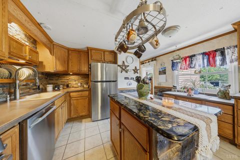 Tiny photo for 809 Plantation Road, Amherst, VA 24521 (MLS # 366759)