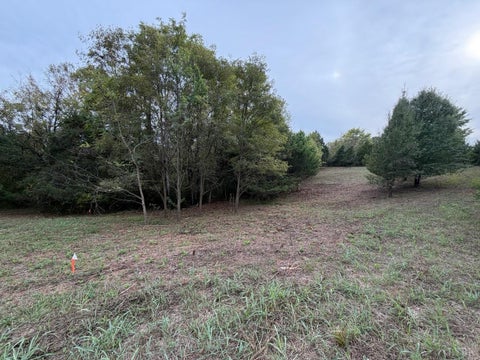 Vacant Land For Sale - Moneta Road<br/> Moneta, VA 24121