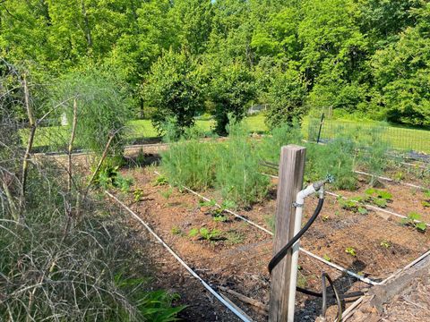 Tiny photo for 1494 Buffalo Mill Road, Evington, VA 24550 (MLS # 363973)