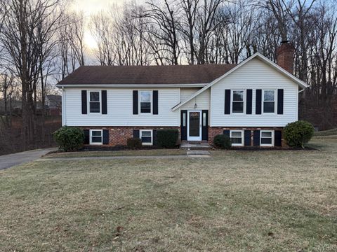 Photo of 112 Wooldridge CIr Cir, Lynchburg, VA 24502 (MLS # 363582)