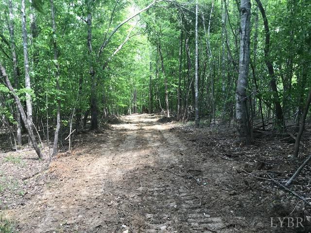 687 Elon Rd Rd, Madison Heights, Virginia image 4