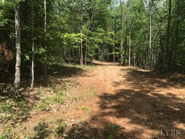 687 Elon Rd Rd, Madison Heights, Virginia image 2