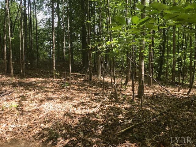 687 Elon Rd Rd, Madison Heights, Virginia image 11