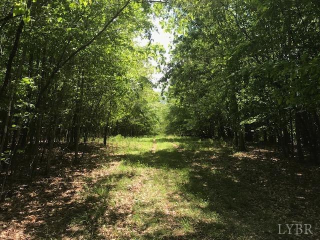 687 Elon Rd Rd, Madison Heights, Virginia image 5