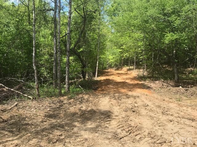 687 Elon Rd Rd, Madison Heights, Virginia image 18