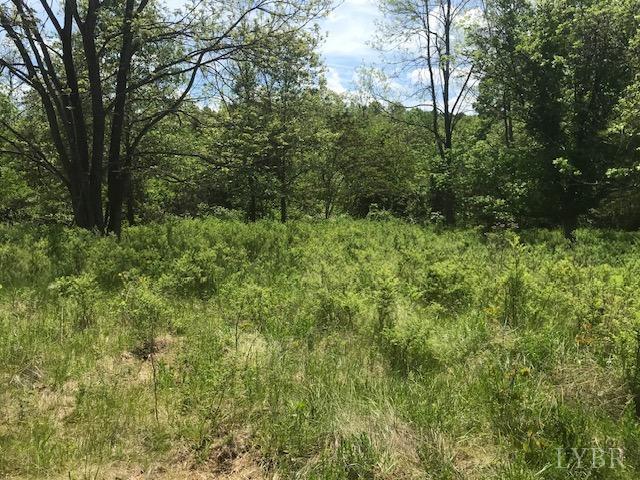 687 Elon Rd Rd, Madison Heights, Virginia image 16